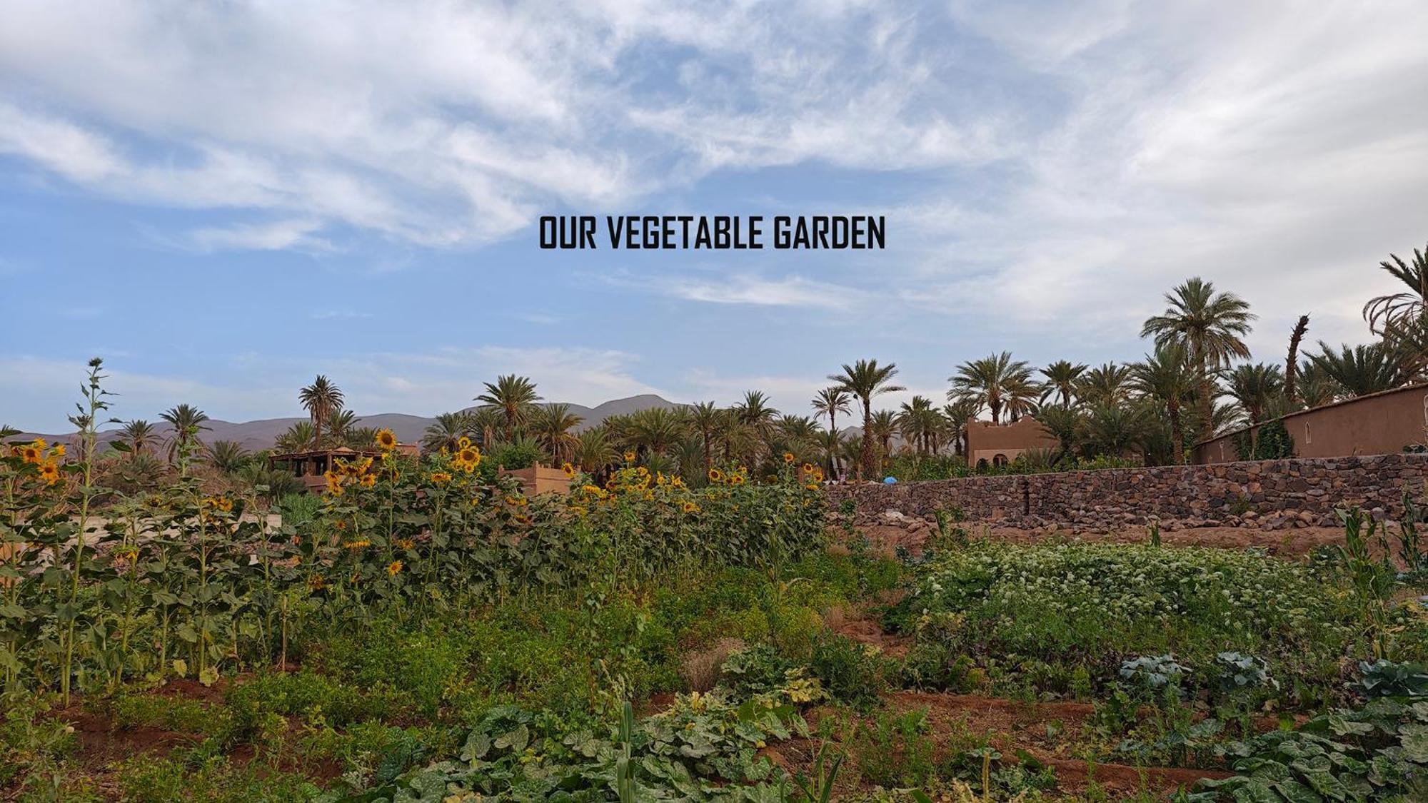 Lodge Hara Oasis Agdz Exterior foto