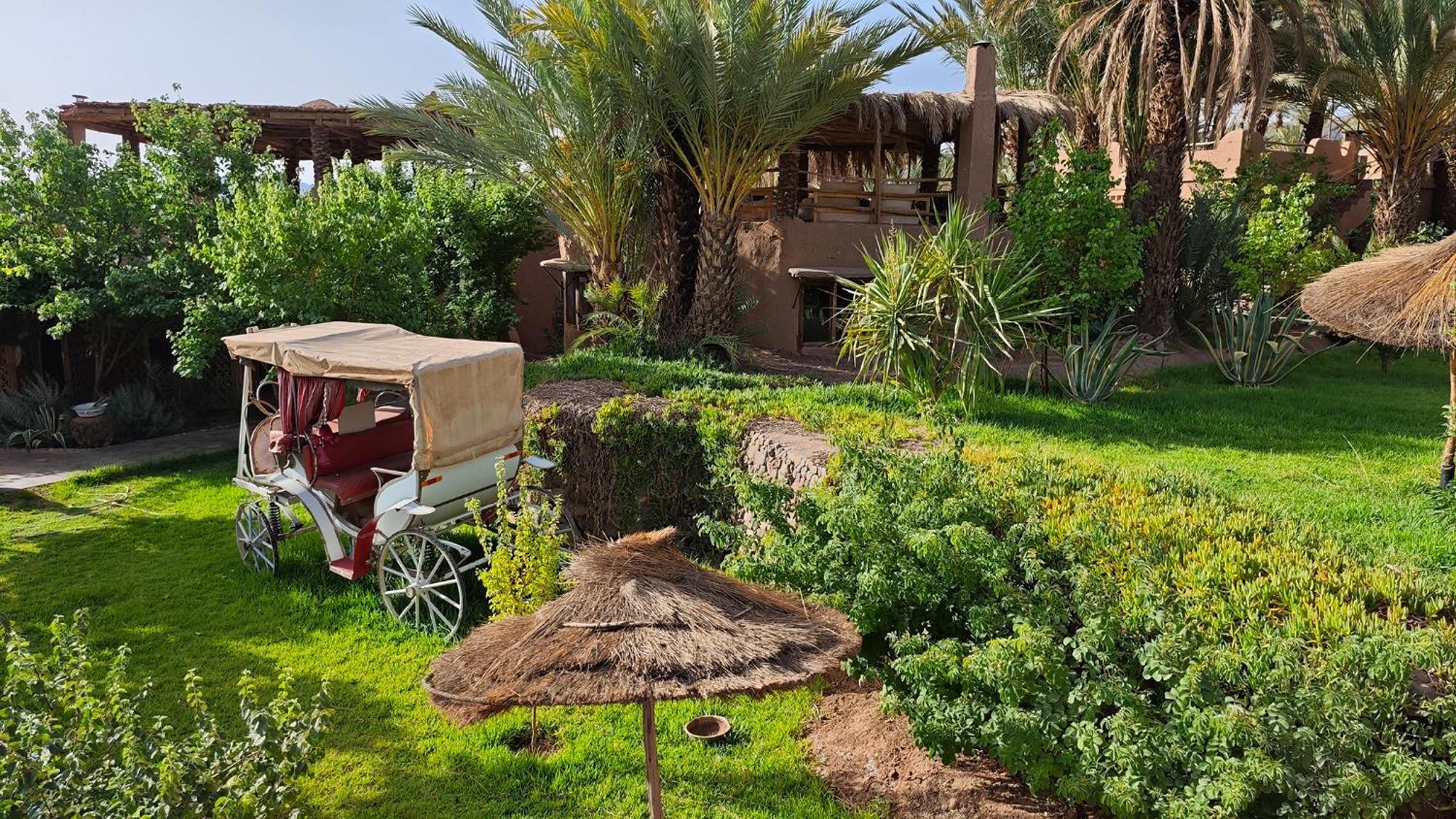 Lodge Hara Oasis Agdz Exterior foto