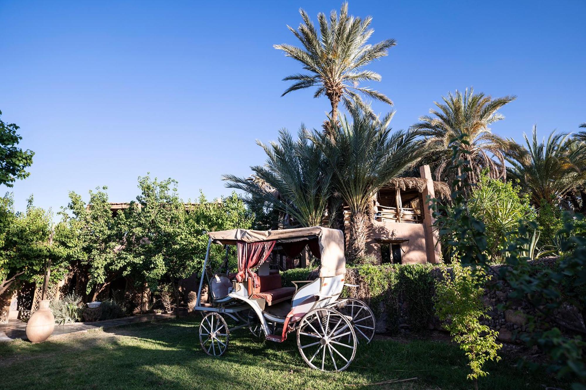 Lodge Hara Oasis Agdz Exterior foto