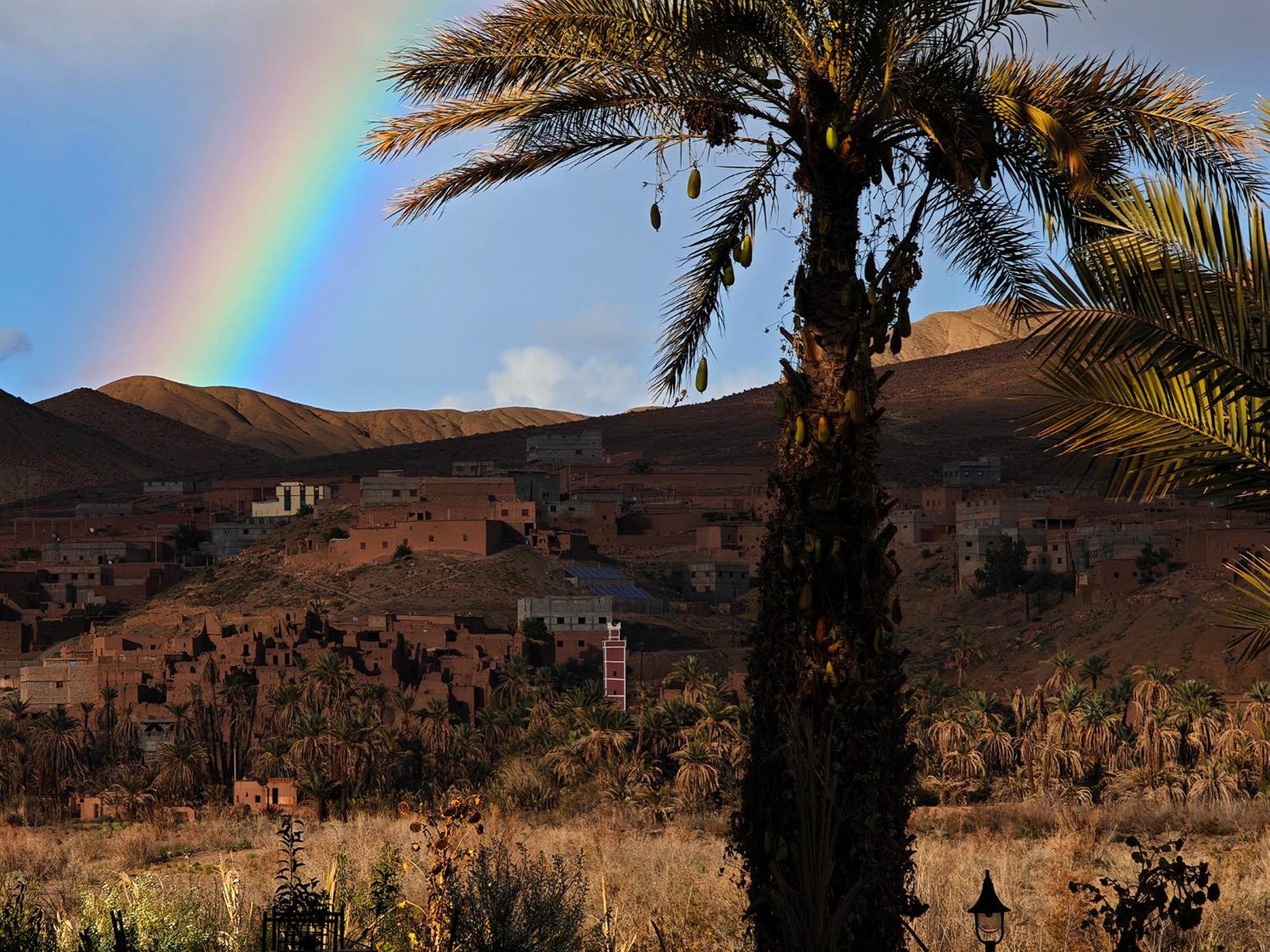 Lodge Hara Oasis Agdz Exterior foto